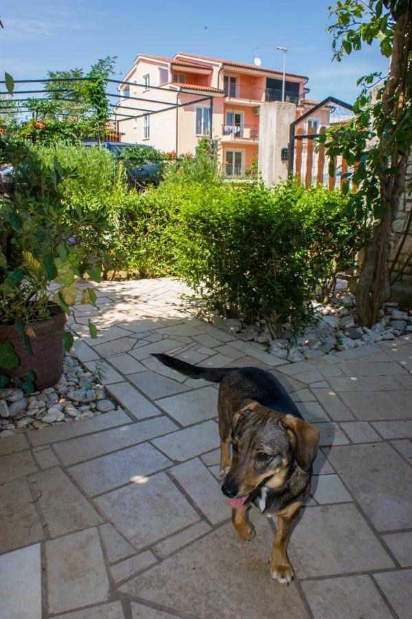 Apartmani Arijana Медулин Экстерьер фото